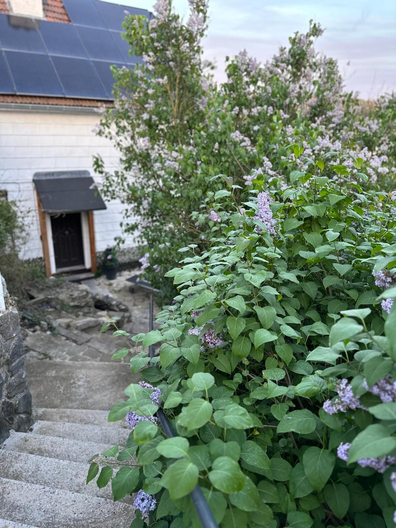 Suite Tino Verviers Exterior foto